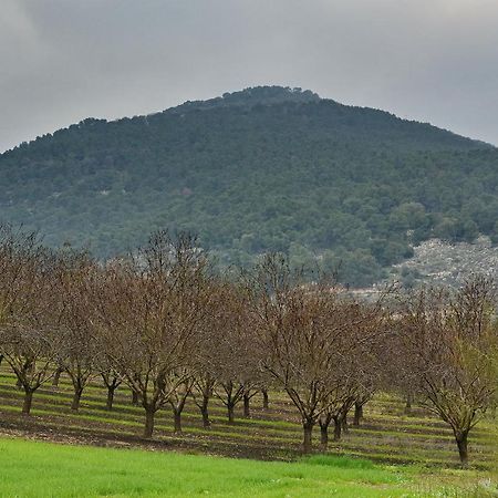 Pearl Of The Valley Hotel Kfar Tavor Exteriér fotografie