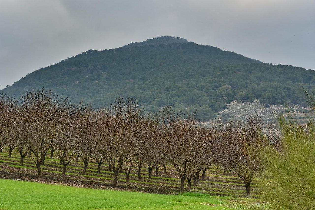 Pearl Of The Valley Hotel Kfar Tavor Exteriér fotografie